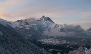 Professional Hygiene