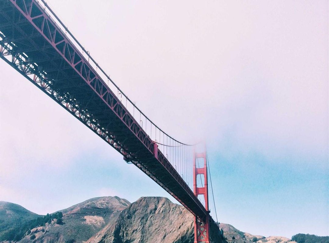 Bringing Your Stitch to Life: Body, Ears, and Details