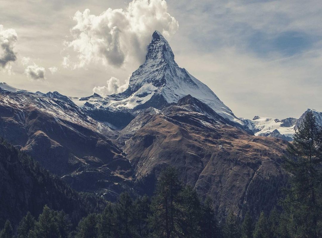 A Practical Workflow: Visualizing the ELISA Process for Insertions