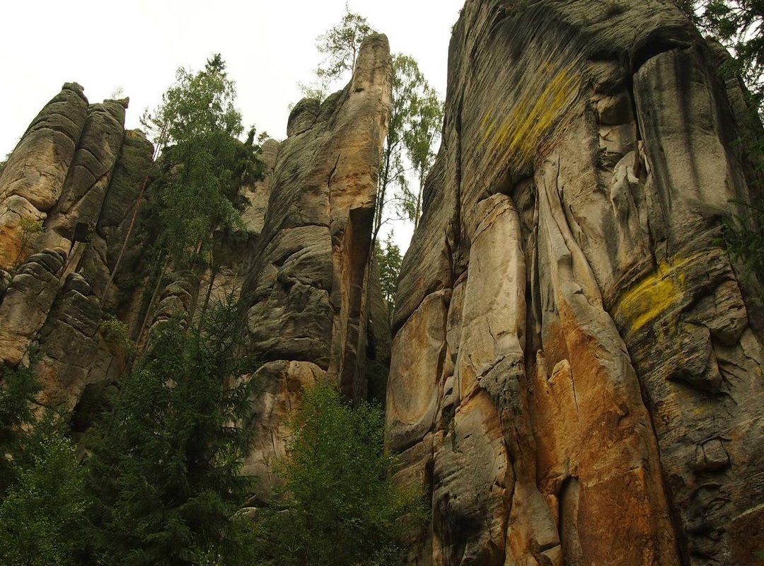 Frequently Asked Questions (FAQs)