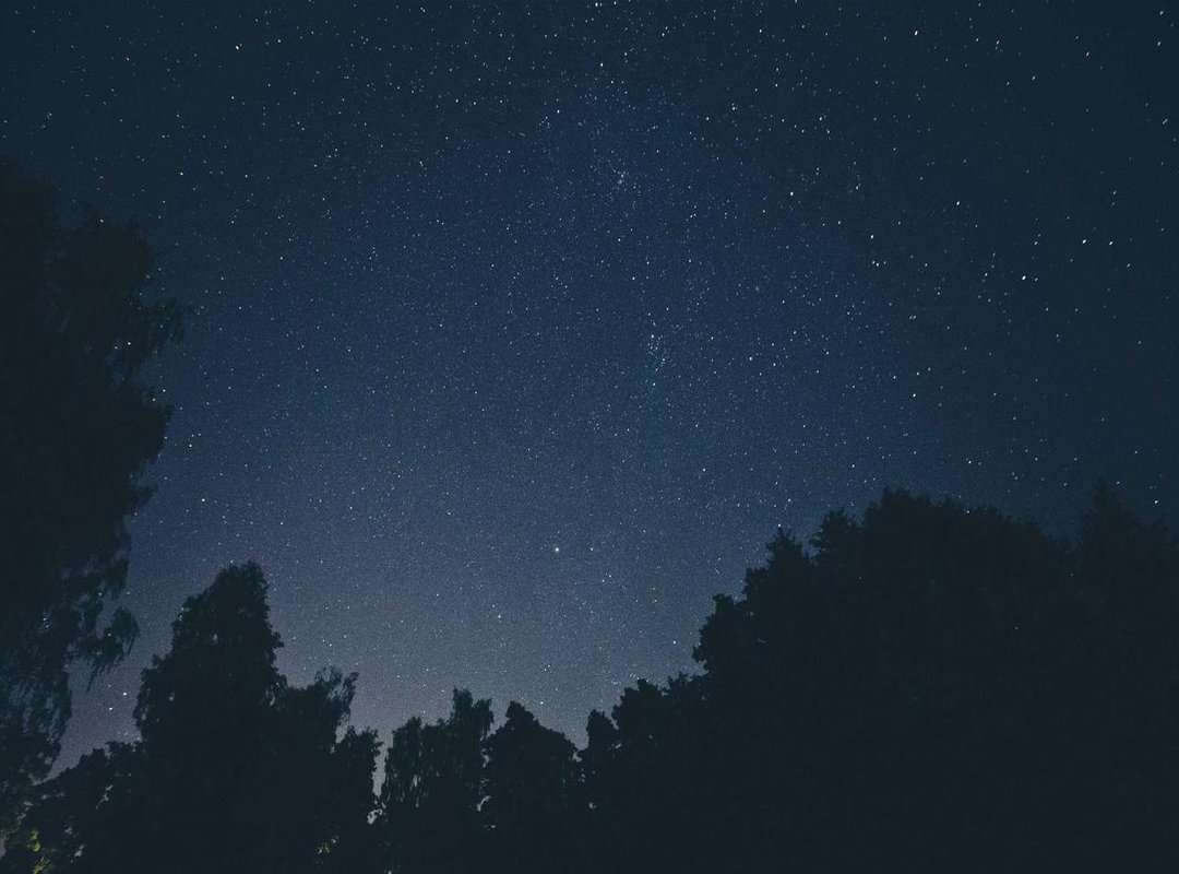 Bringing the Vibe to Your Space: Room Decor Ideas