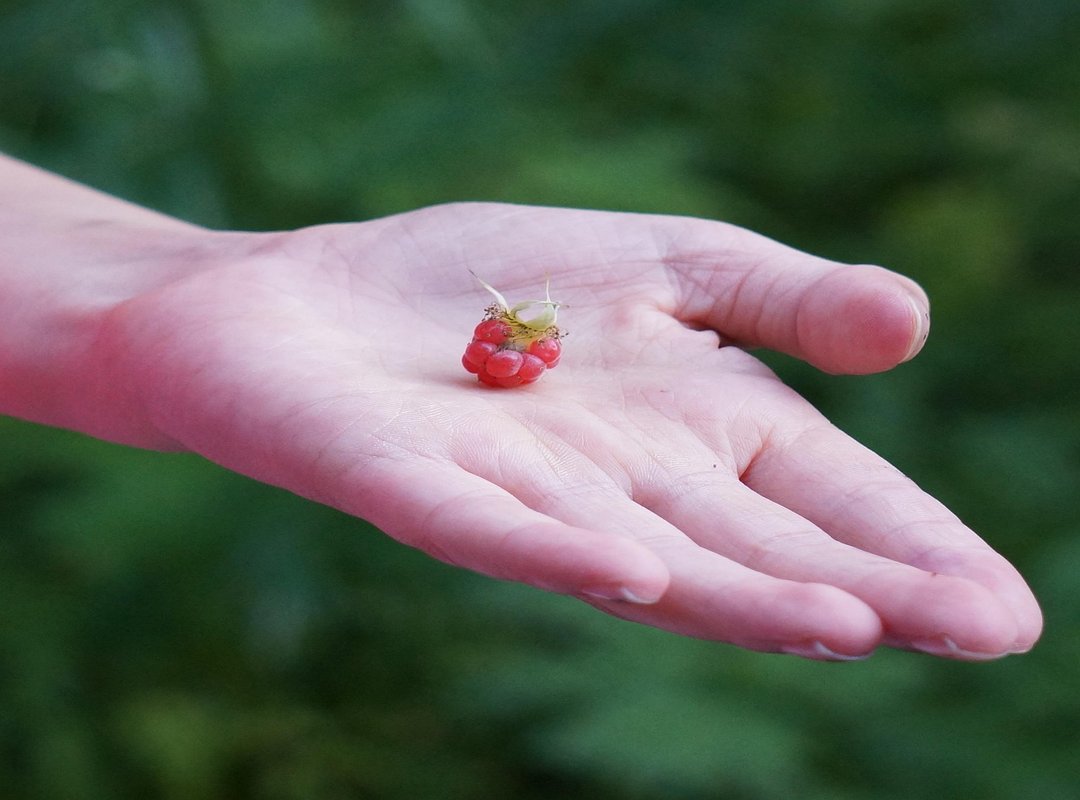 How to Navigate the Platform and Find What You're Looking For