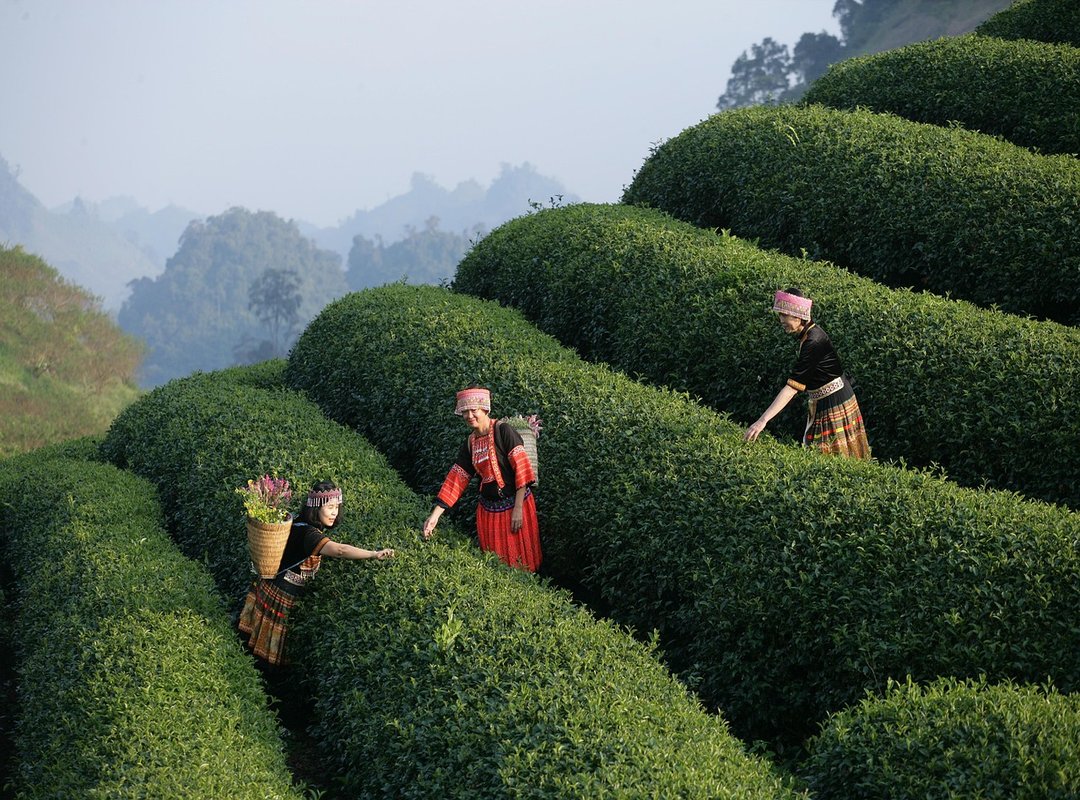 How to Make the Most of Your Dining Experience