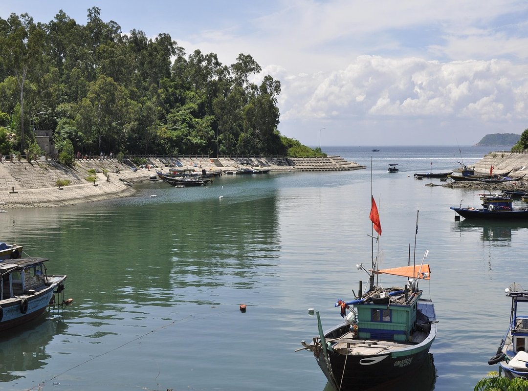 How to Verify Authenticity and Avoid Counterfeits