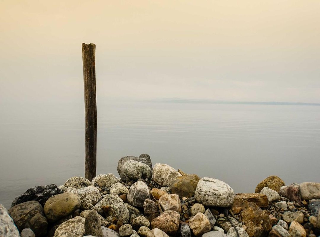 Placement is Everything: Where to Put Your Simple Back Tattoo