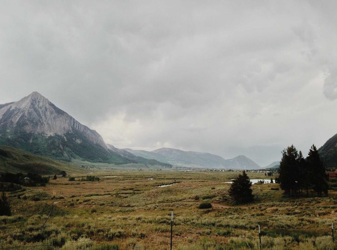 A Tale of Two Wars: Grindelwald's Reign and World War II