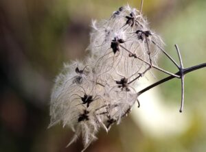 xnxn matrix matlab plot plot graph