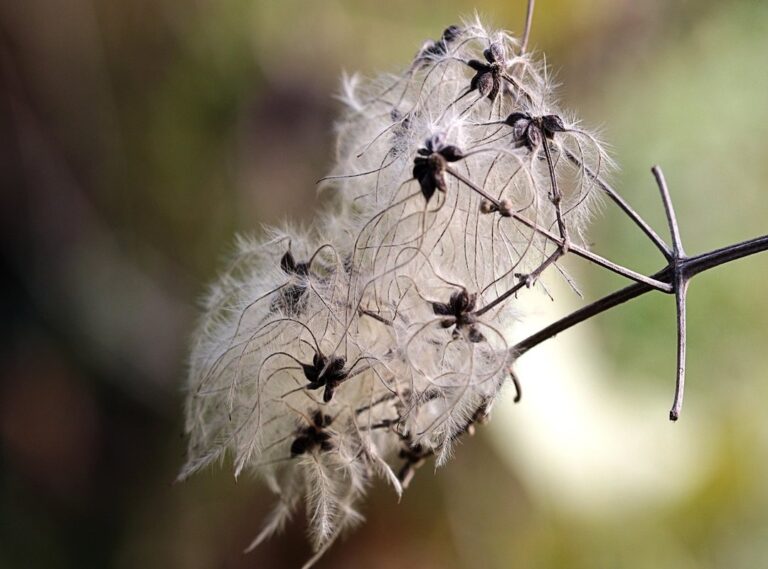 xnxn matrix matlab plot plot graph